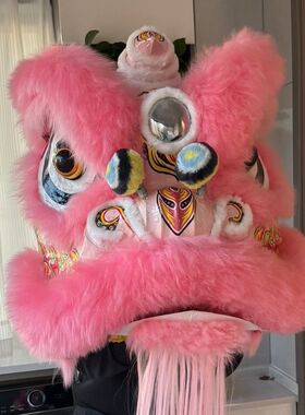 舞狮道具全套南狮醒狮舞龙舞狮服装双人羊毛狮子鸣朝狮头