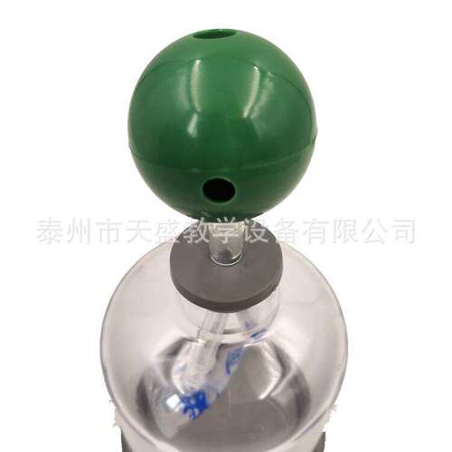 膈肌呼吸模拟器J3325人体运动呼吸模型初中生物仪器