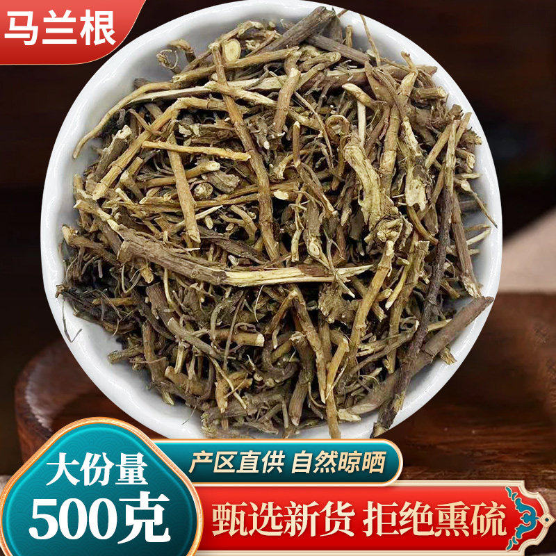 马兰根500克传统滋补农产品 路边菊与田边菊药材 鱼鳅串草本材料
