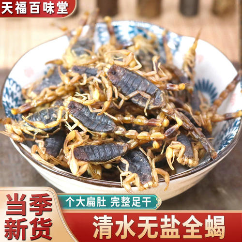 沂蒙十足全干全蝎中药材正品清水无盐矾蝎子干足龄黑背大只全虫粉