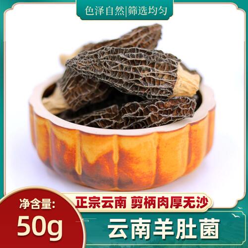 特大羊肚菌干货正宗云南50g克特产羊肚散装新鲜菌类菌菇汤料包