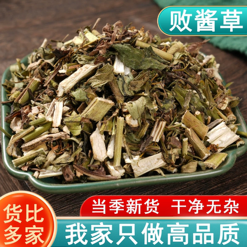 败酱草中草药新鲜干货500g克 黄花败酱草 北败酱草非野生中药材