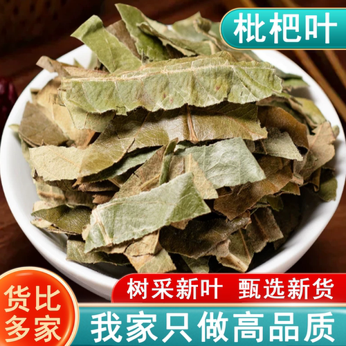 枇杷叶中药材正品枇杷叶干枇杷叶茶 新鲜非特级野生琵琶叶 批把叶