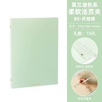 B5 Live Page Shell-Laure Green Morandi Color System