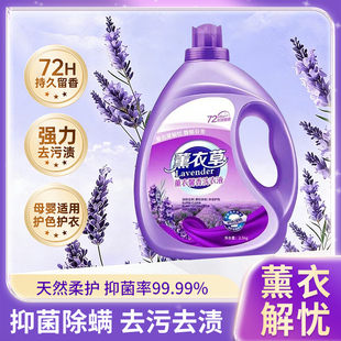 薰衣草香大桶洗衣液持久留香72小时香水强力去污渍家用男士女学生