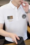 84050-P40春秋新款短袖T恤男休闲打底衫，男装T恤，电商D310B