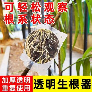 高压嫁接盒植物高压盒繁殖盒插杆果树枝条移栽育苗器园林树木生根