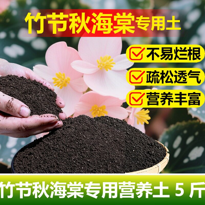 竹节秋海棠专用土料盆栽绿植物营养土海棠花卉家庭养护土壤花家用图片