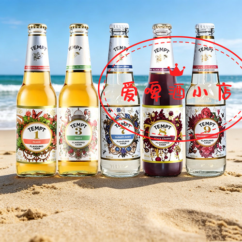 TEMPT7号接骨木啤酒330ml