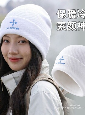 欧美潮流刺绣冷帽女款户外保暖防风针织帽男青年针织帽秋冬毛线帽