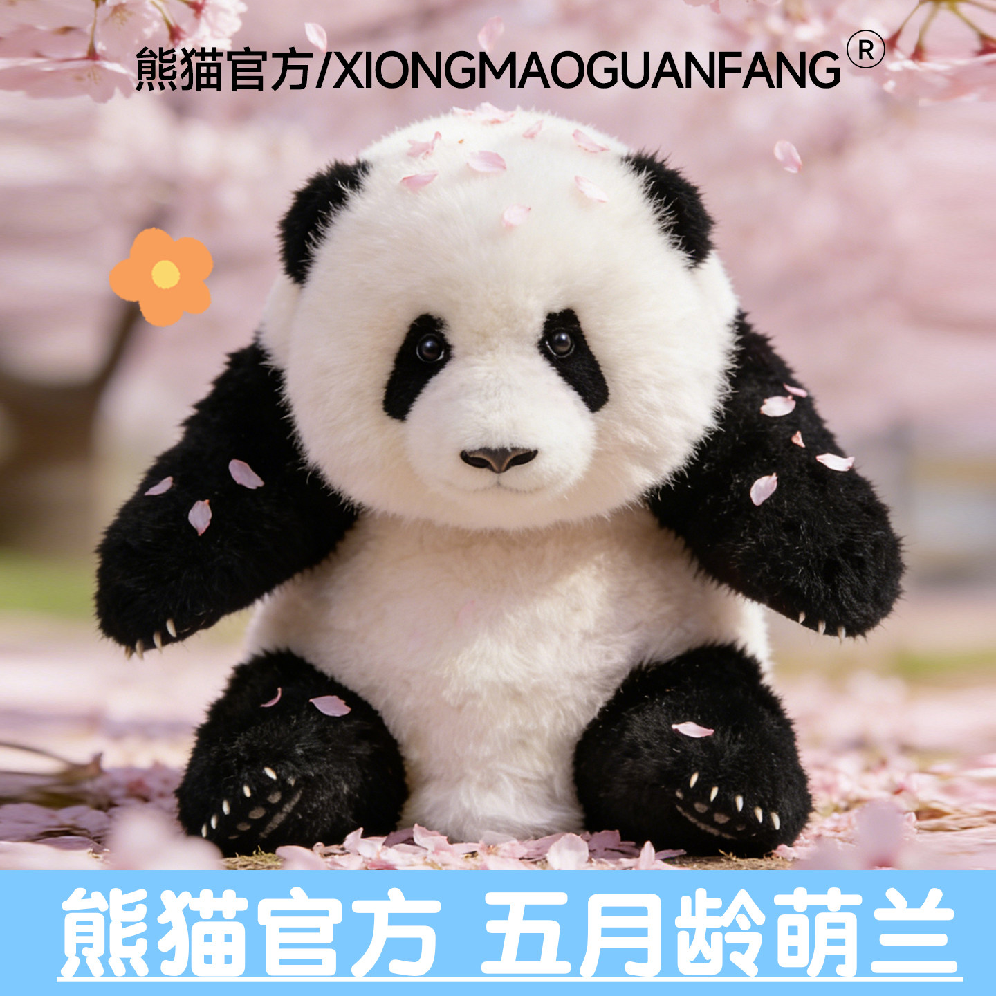 熊猫官方正品定制5月龄萌兰仿真熊猫玩偶羊皮毛绒玩具公仔礼物女
