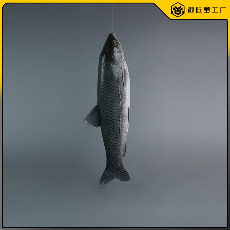 仿真草鱼淡水鱼模型假秋刀鱼黑鱼深海鱼海洋馆装饰道具仿真海鲜