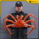 仿真帝王蟹海鲜海水产模型超大皇帝蟹样品长腿蟹螃蟹道具直播装 饰