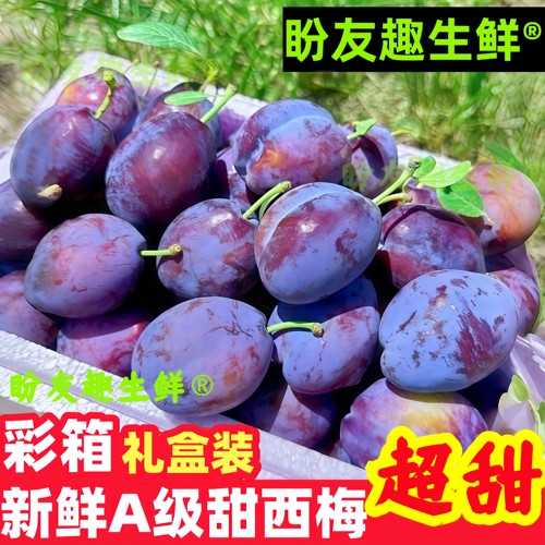 【彩箱礼盒装】26年头茬新鲜西梅