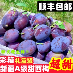 【顺丰京东包邮】正宗新疆西梅礼盒装新鲜水果应季西梅非法兰西梅