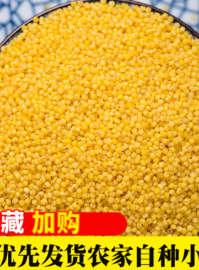 养胃黄小米熬粥新米农家粗粮杂粮月子小米粥营养煮粥孕妇小黄米