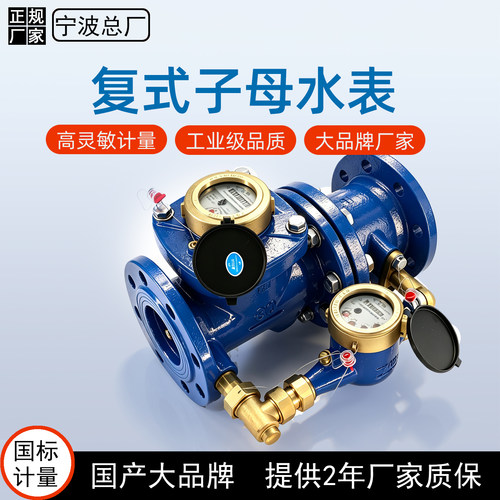 复式子母宁波水表品牌法兰水表