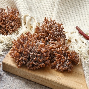 新鲜龙爪菌 龙爪菇 猫爪菇 珊瑚菌 煲汤火锅 酒店特色食材