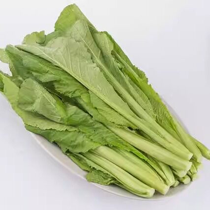 新鲜春菜 小芥菜 苦菜 潮汕农家菜 500克 浙江沪皖满额顺丰包邮