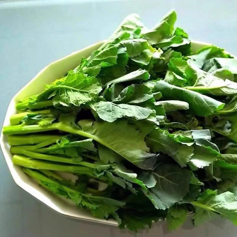新鲜板蓝根青菜新鲜蔬菜 江浙沪皖任意五件顺丰包邮
