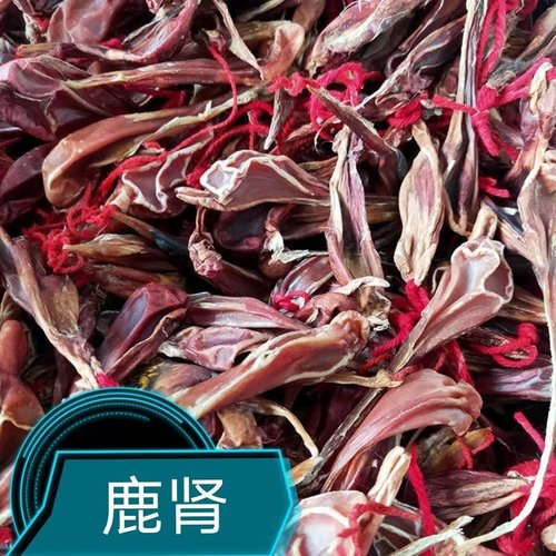 “吉林梅花鹿”梅花鹿鞭 肾子 干品 一对 鹿冲 滋补泡酒 鹿肾仔