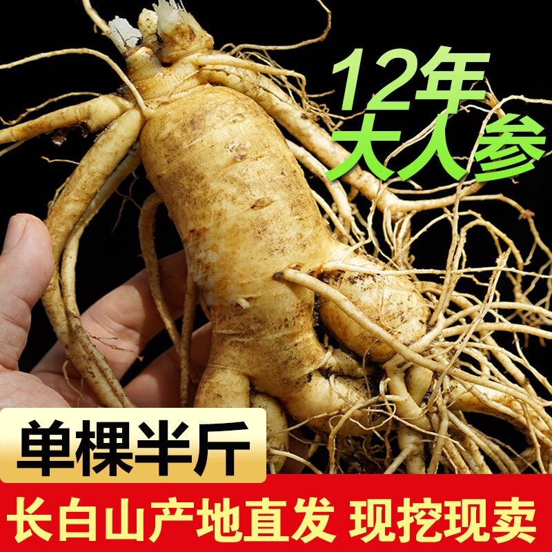 【单支250g】半斤长白山特大鲜人参现挖人参带土新鲜野山参泡酒