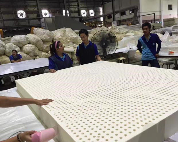 LATEX SYSTEMS泰国天然乳胶床垫护腰椎静音助眠乳胶垫