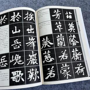 张猛龙碑技法精讲张猛龙魏碑字帖张猛龙碑放大书法技法毛笔字帖