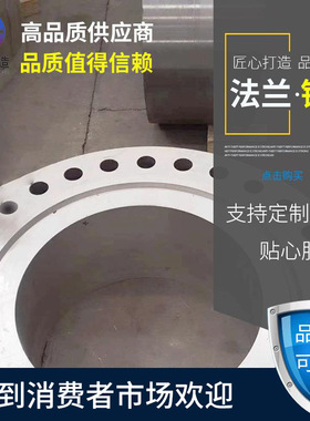厂家锻造碳钢不锈钢 美标 304 316 带颈对焊高压法兰WN 高压盲板