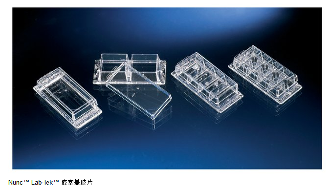 nunc155411盖玻片Lab-Tek8孔腔室盖玻片硼硅酸玻璃已灭菌2包/盒