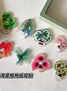 秋海棠绿植热植周边冰箱贴ins盆栽树叶子文创家居装饰亚克力磁贴