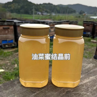蜂农自产油菜花蜂蜜结晶蜂蜜