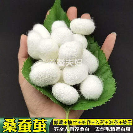 双宫蚕茧可抽手工蚕丝棉兜帽蚕丝被原料儿童百家婴儿子母被桑蚕丝