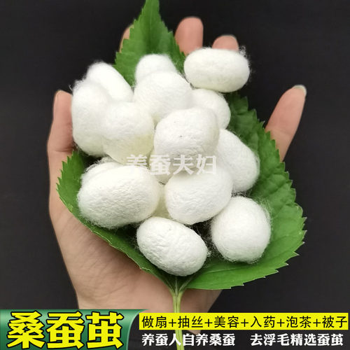 农家养蚕人双宫茧手工做桑蚕丝兜