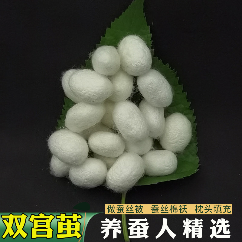 蚕农双宫茧抽丝手工桑蚕丝棉兜原料可做儿童百家蚕丝被春蚕茧泡茶 - 实物图