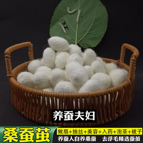 烘干抽丝白色蚕茧药引抽丝做扇