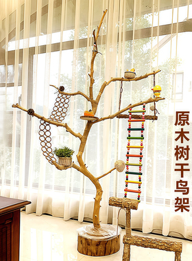 大型落地鹦鹉站架树枝天然原木树枝鸟架幼儿园造景造型枯枝树杈