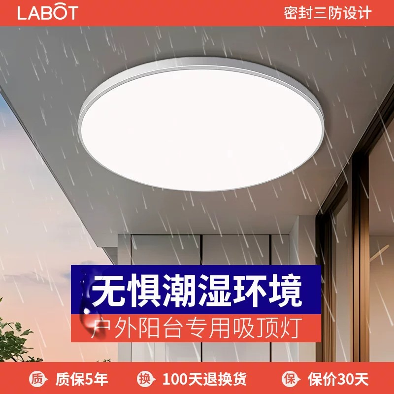 农村大门口吸顶灯门厅入户灯户外庭院屋檐阳台室外防潮防虫照明灯图片