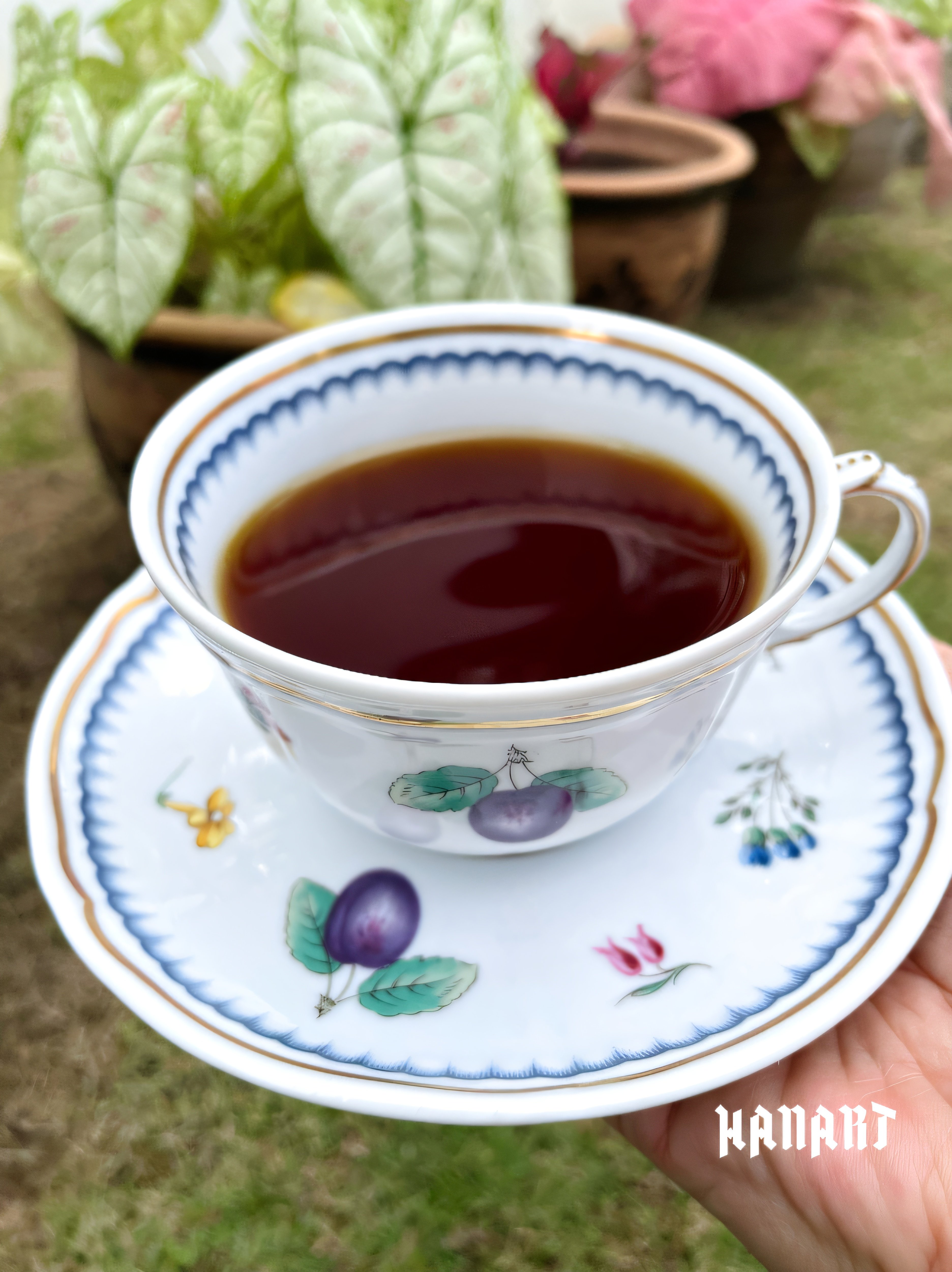 手绘茶杯碟水果Richardginori