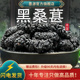 桑葚中药材新疆干桑椹茶黑桑葚桑甚干子新鲜长果干非野生泡水酒粉
