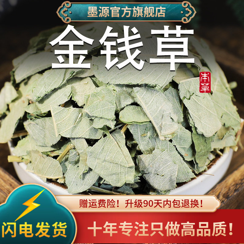 金钱草中草药大叶金钱草茶中药材新鲜干货过路黄非野生泡水喝打粉
