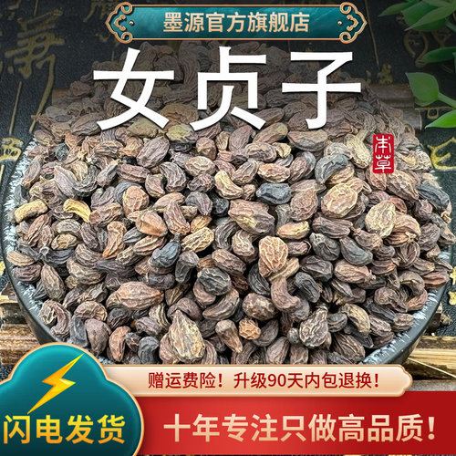 大粒饱满女贞子新鲜干货中药材