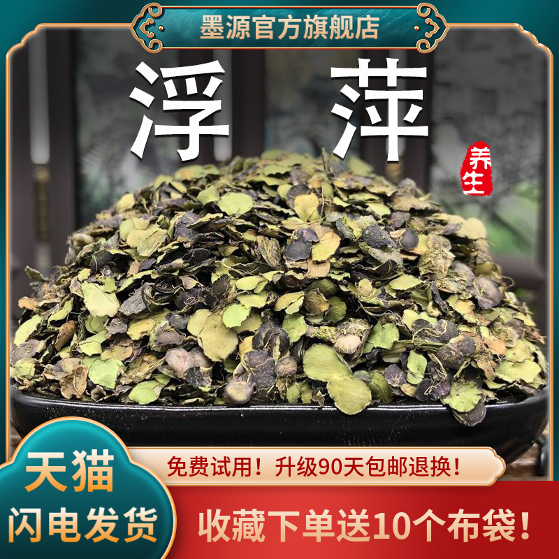 紫背浮萍冷库保鲜手工拣选中药材