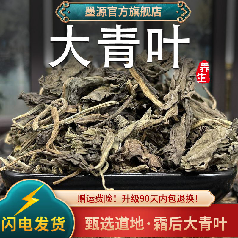 大青叶中药材新鲜大青叶茶板蓝根叶子菘蓝蓝菜叶干货可打大青叶粉