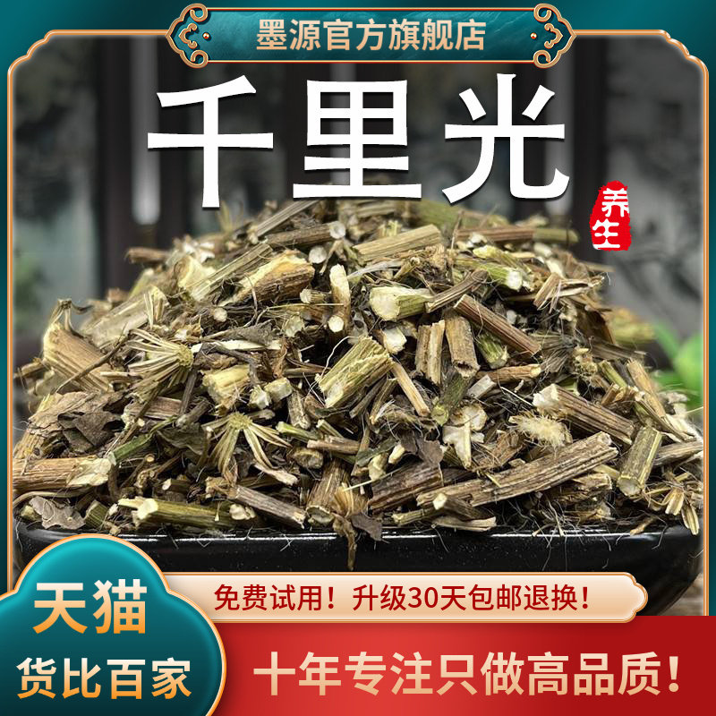 千里光中草药九里明中药材新鲜草药洗眼水贴千里光茶泡水泡茶新货