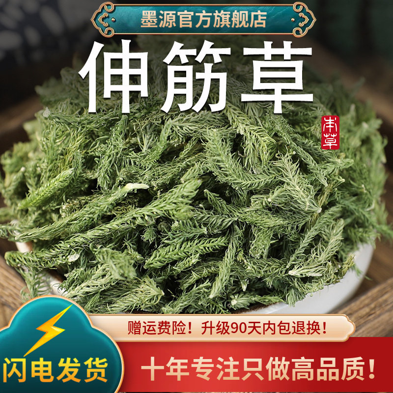 伸筋草中药材舒筋草申筋草非野生生筋草非小伸筋草泡脚粉搭透骨草