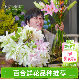 海蒂的花园成都总店 春百合种球鲜切花品种重瓣球根庭院盆栽地栽