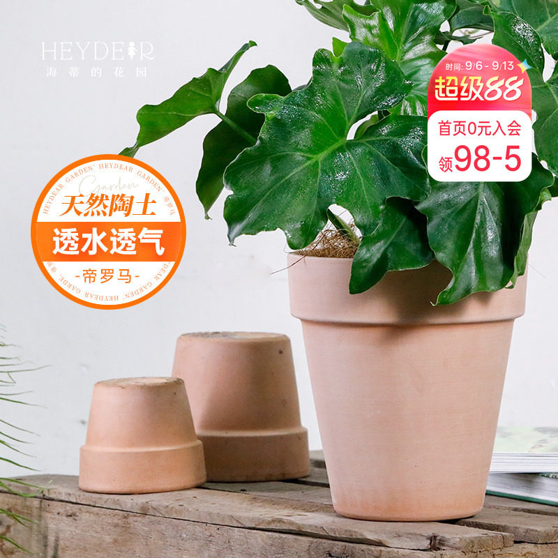 海蒂的花园  帝罗马陶盆国际盆阳台花卉绿植兰花栽种花盆
