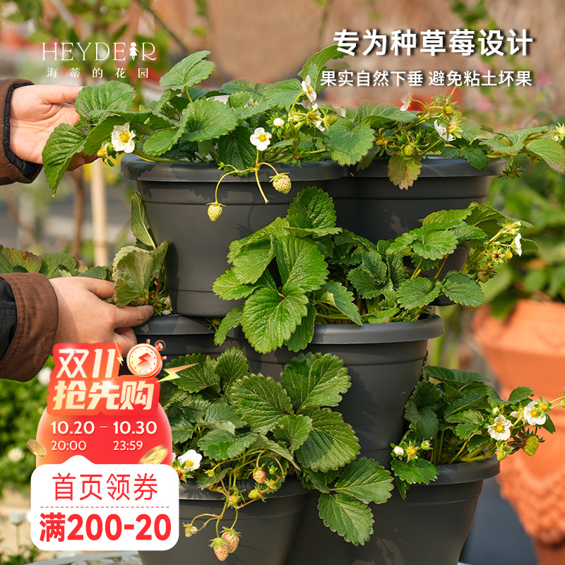 海蒂的花园环球星格尔组合盆种花种菜种草莓盆树脂创意立体花盆