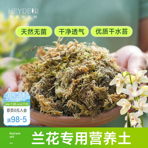 海蒂的花园水苔蝴蝶兰专用土兰花